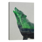 Howling Wolf // Andreas Lie