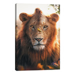 Lion Bird // Zenja Gammer