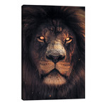 Lion Scary // Zenja Gammer