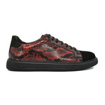 Daniel Casual Shoes // Black + Red Snake (Euro: 40)