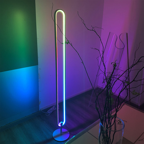 Annular Color Floor Lamp
