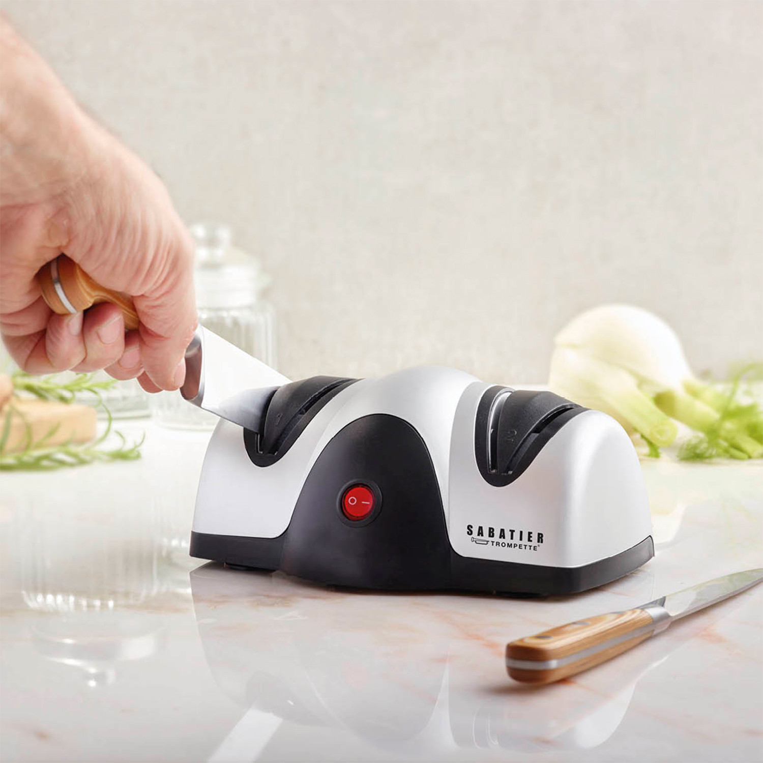 sabatier knife set with sharpener