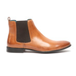 Darwin // Tan (UK: 12)