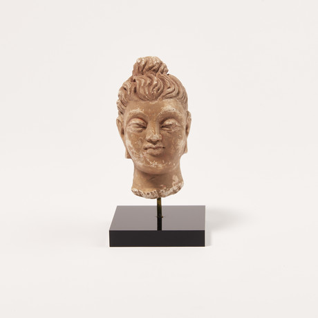 Indus Valley Head of Buddha // 4th - 5th Century AD