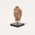 Indus Valley Head of Buddha // 4th - 5th Century AD