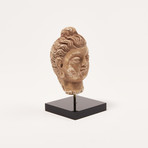 Indus Valley Head of Buddha // 4th - 5th Century AD