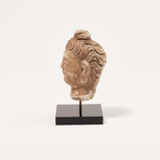 Indus Valley Head of Buddha // 4th - 5th Century AD