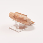 Ancient Judaea, circa Year Zero // Exceptional Herodian Oil Lamp