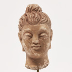 Indus Valley Head of Buddha // 4th - 5th Century AD