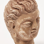 Indus Valley Head of Buddha // 4th - 5th Century AD