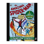 Stan Lee // Spiderman // Autographed Photo