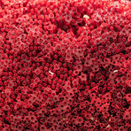 Genuine Red Pipe Organ Coral // V3