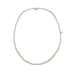 Mikimoto 18k White Gold Akoya Pearl Necklace III // Store Display