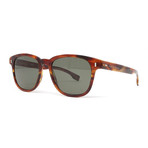 Men's 956S Sunglasses // Brown Horn