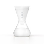 Glass Carafe + 1 Filter // 48 oz