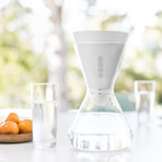 Glass Carafe + 1 Filter // 48 oz