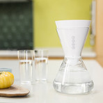 Glass Carafe + 1 Filter // 48 oz