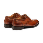 Toecap Brogue Derby // Cognac (US: 10)