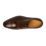 Full Brogue Wingtip Oxford // Dark Brown (US: 10)