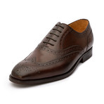 Full Brogue Wingtip Oxford // Dark Brown (US: 10)