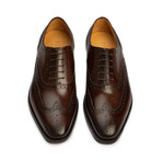 Full Brogue Wingtip Oxford // Dark Brown (US: 7)