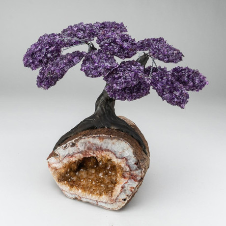 The Empowerment Tree // Custom Amethyst Tree + Citrine Geode Matrix