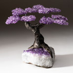 The Protection Tree // Custom Amethyst Tree + Amethyst Matrix // V1