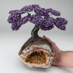 The Empowerment Tree // Custom Amethyst Tree + Citrine Geode Matrix