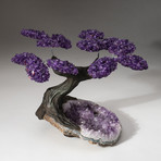 The Protection Tree // Custom Amethyst Tree + Amethyst Matrix // V2