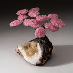 The Comfort Tree // Custom Rose Quartz Tree + Citrine Matrix // V2