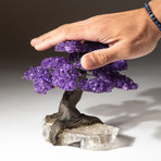 Custom Amethyst Tree + Calcite Matrix