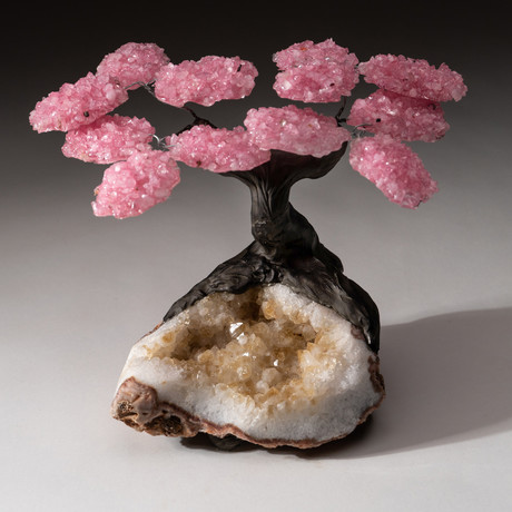 The Comfort Tree // Custom Rose Quartz Tree + Citrine Matrix // V2