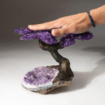 The Protection Tree // Custom Amethyst Tree + Amethyst Matrix // V2