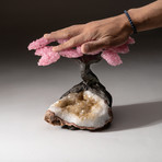 The Comfort Tree // Custom Rose Quartz Tree + Citrine Matrix // V2