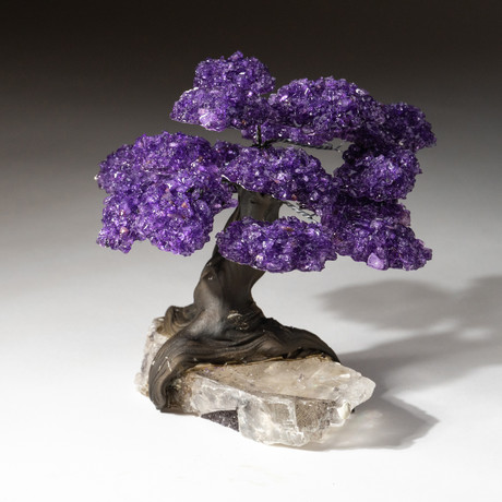 Custom Amethyst Tree + Calcite Matrix