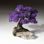 Custom Amethyst Tree + Calcite Matrix