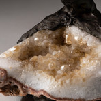 The Comfort Tree // Custom Rose Quartz Tree + Citrine Matrix // V2