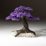 Custom Amethyst Tree + Calcite Matrix