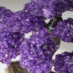 Custom Amethyst Tree + Calcite Matrix