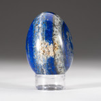 Genuine Polished Lapis Lazuli Egg + Acrylic Display Stand