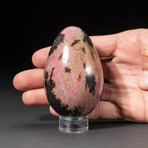 Genuine Polished Imperial Rhodonite Egg + Acrylic Display Stand