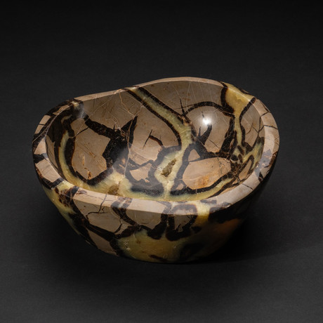 Genuine Polished Septarian Bowl // V1