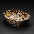 Genuine Polished Septarian Bowl // V2