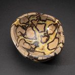 Genuine Polished Septarian Bowl // V1