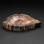 Genuine Polished Petrified Wood Bowl