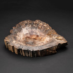 Genuine Polished Petrified Wood Bowl