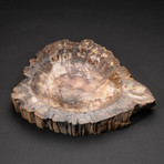 Genuine Polished Petrified Wood Bowl