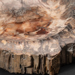 Genuine Polished Petrified Wood Bowl