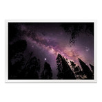 THROUGH THE TREES TO THE COSMOS