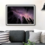 THROUGH THE TREES TO THE COSMOS